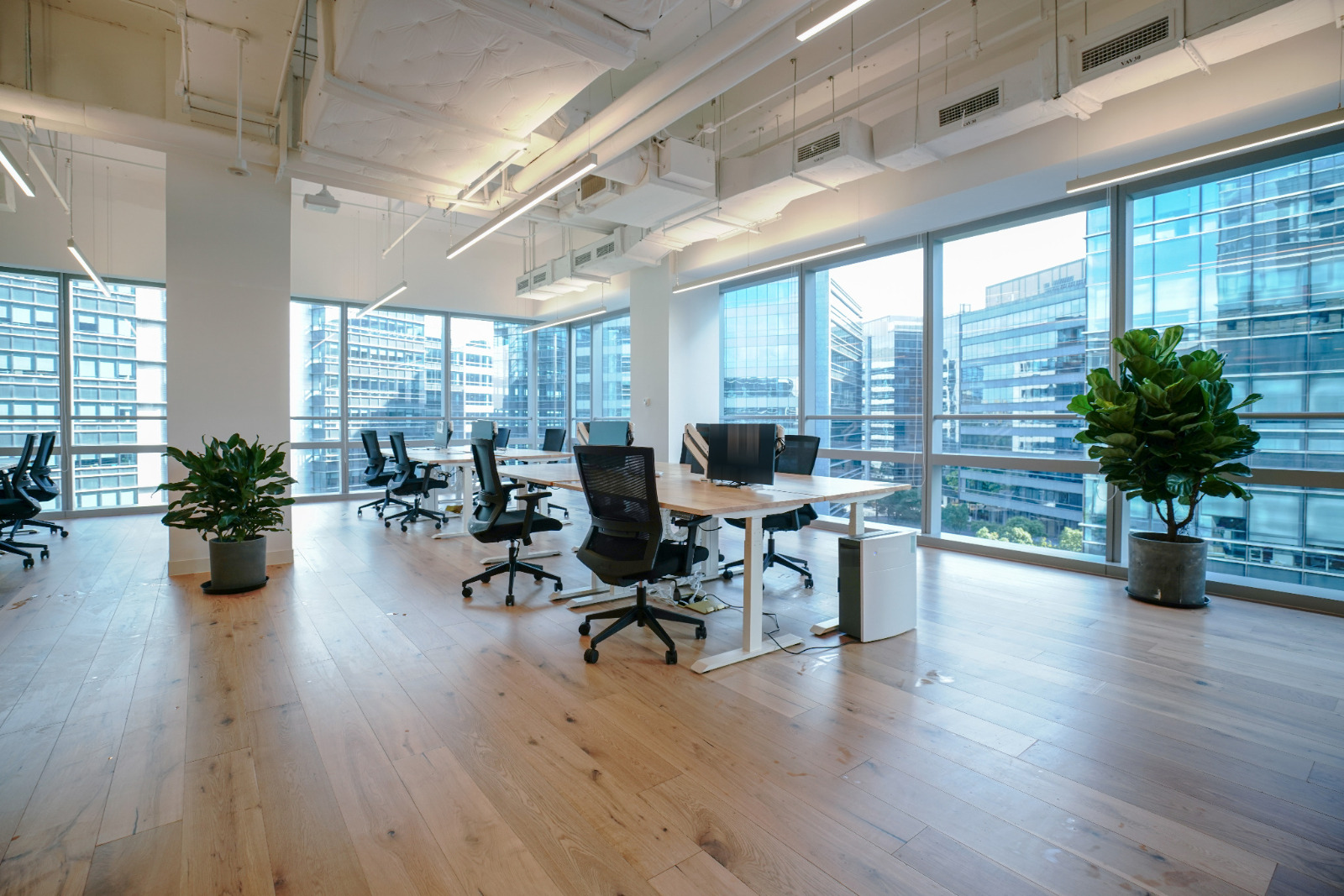 Modern open-plan office in Tottenham with wide-plank oak engineered hardwood floor restored by Commercial Floor Sanding, featuring desks, chairs and large city-view windows.